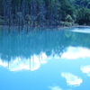 青い池　初秋