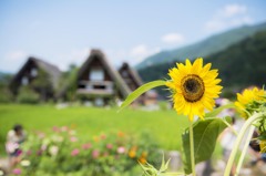 夏休み