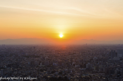 The Tokyo sunset