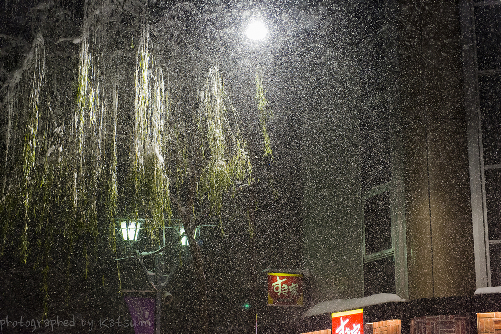 東京大雪２