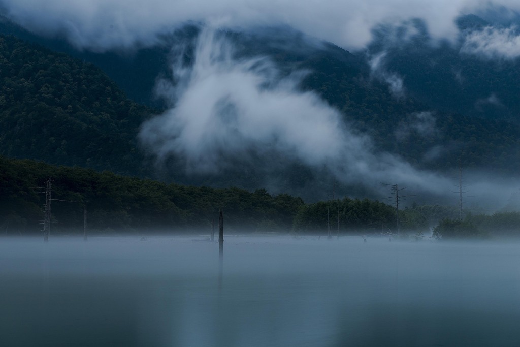 朝霧