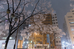 東京大雪