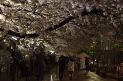 雨の中での。。。