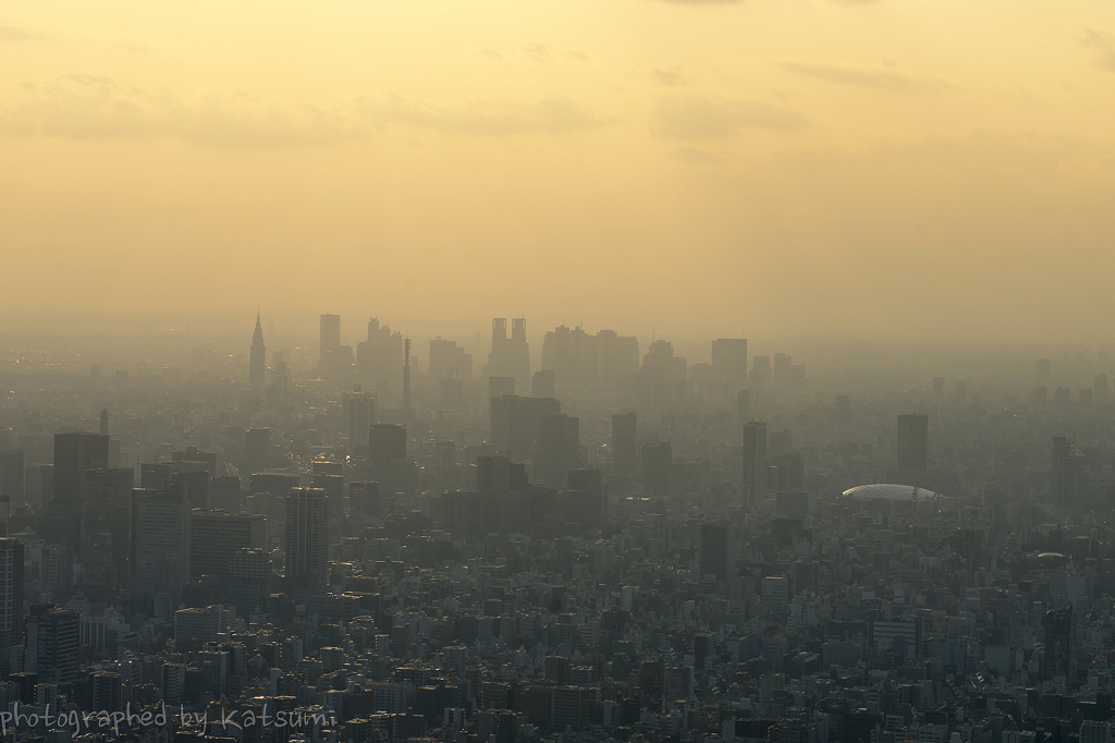 東京