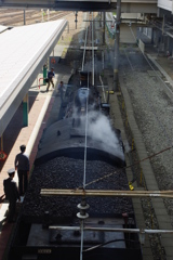 ホーム