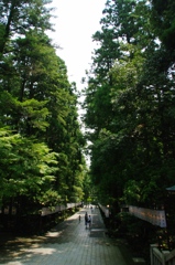 荘厳の中の蝉時雨