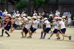綱引き②