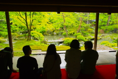 新緑の中で