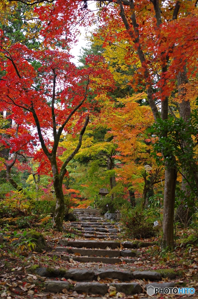 紅葉の小径