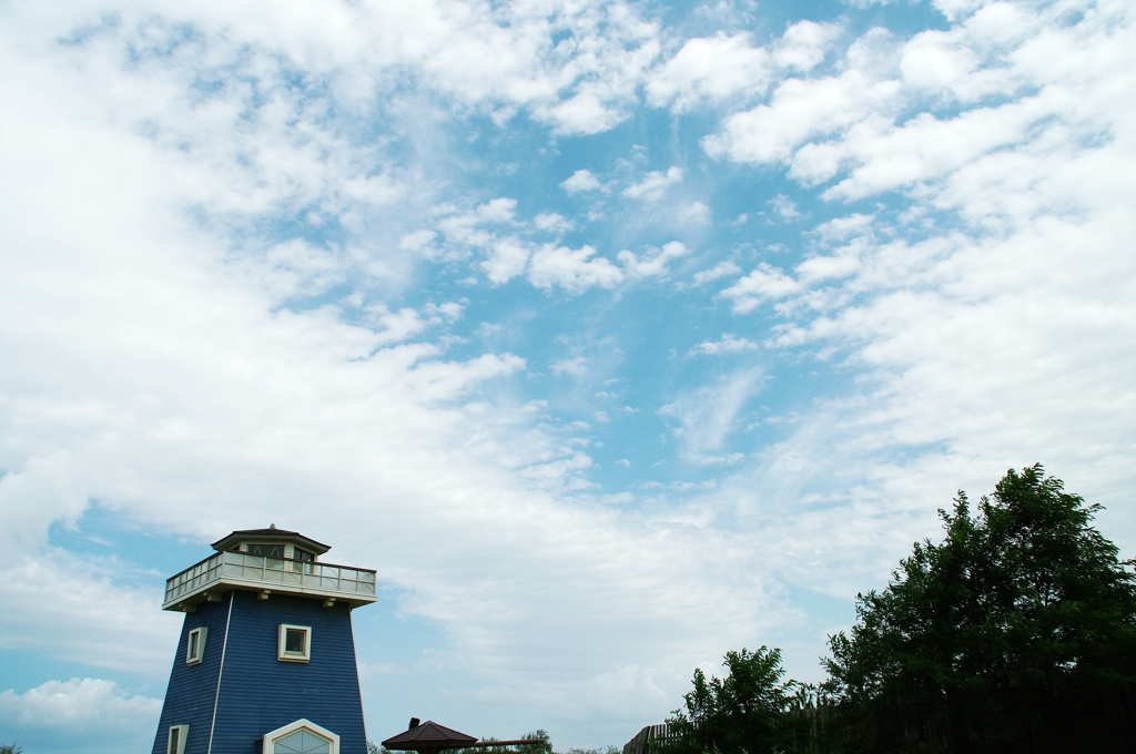 晩夏の宇宙