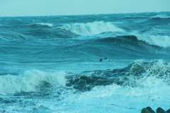 2月の日本海