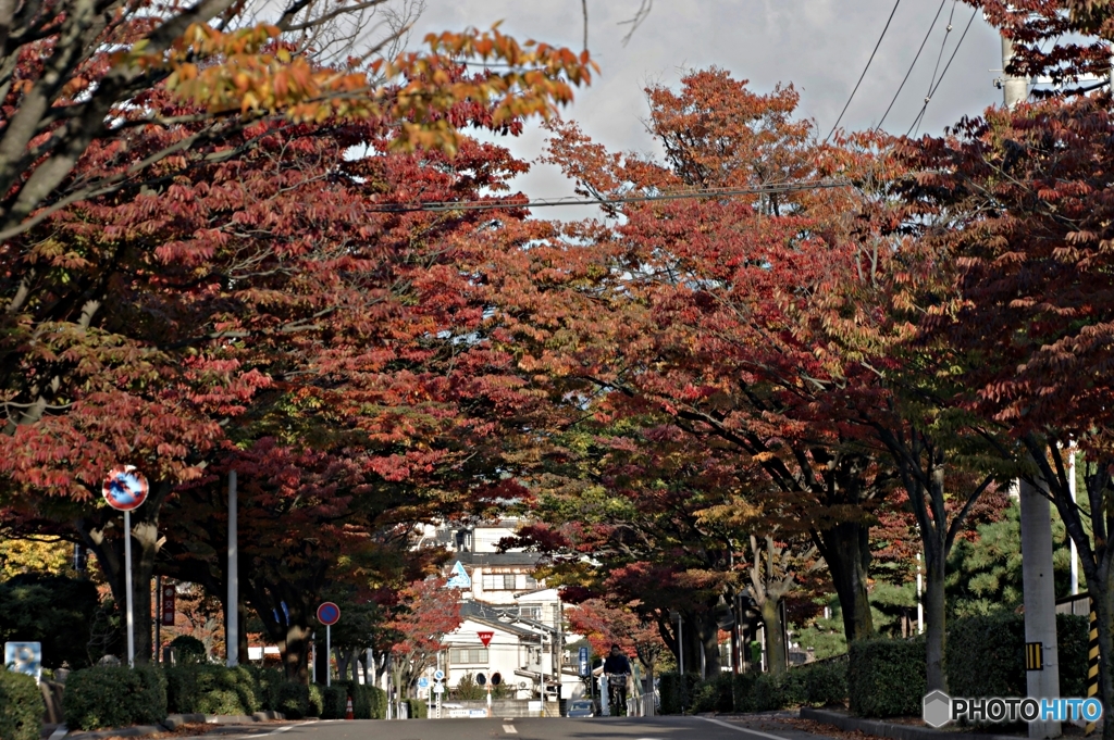 通勤の路