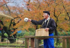 白鳥おじさん！