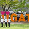♥ＮＩＩＧＡＴＡ