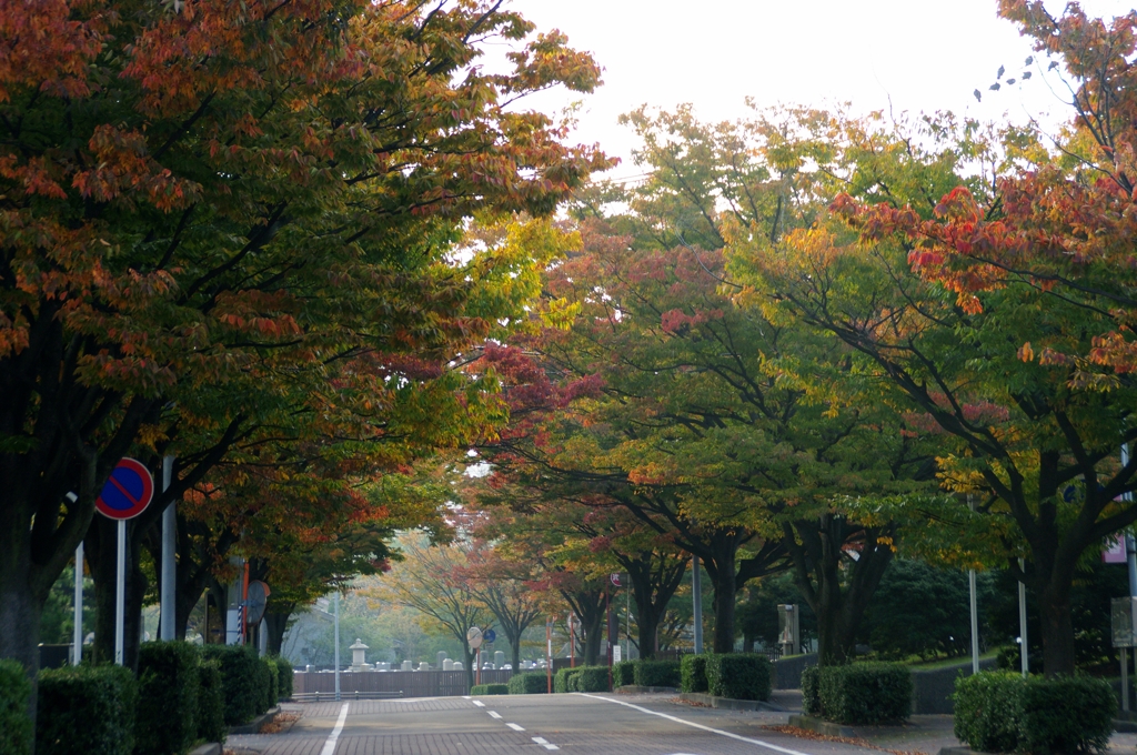 朝の風景