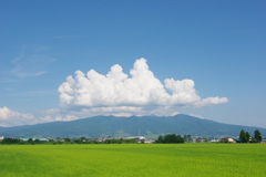 初夏