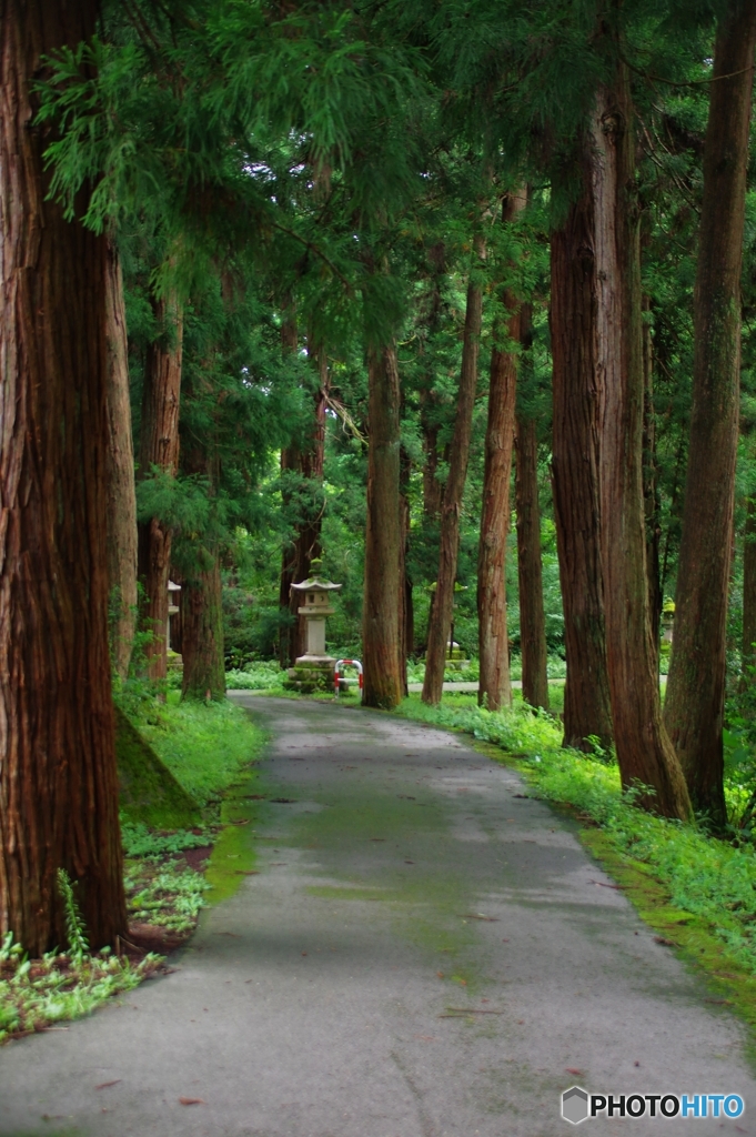 神社への路