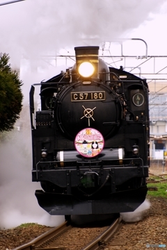村上ひな街道号