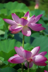 仲良し