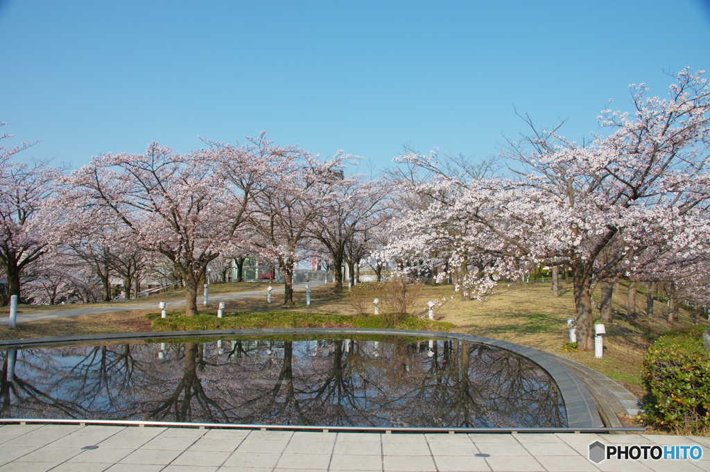 白山公園②