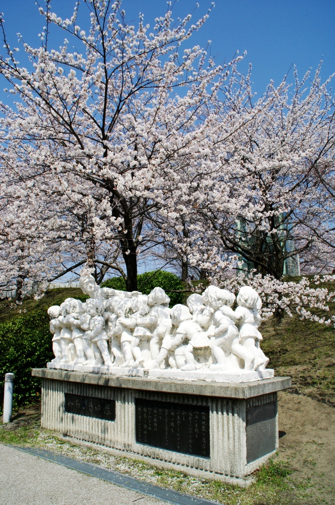 桜の下