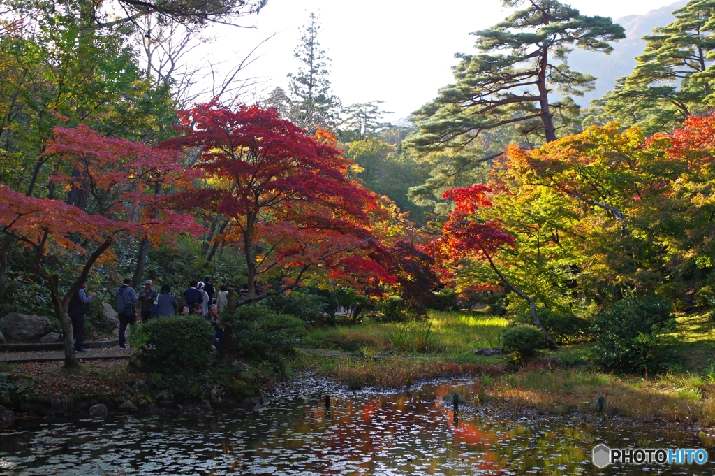 紅葉１