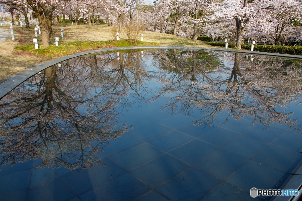 白山公園①