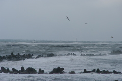 日本海②