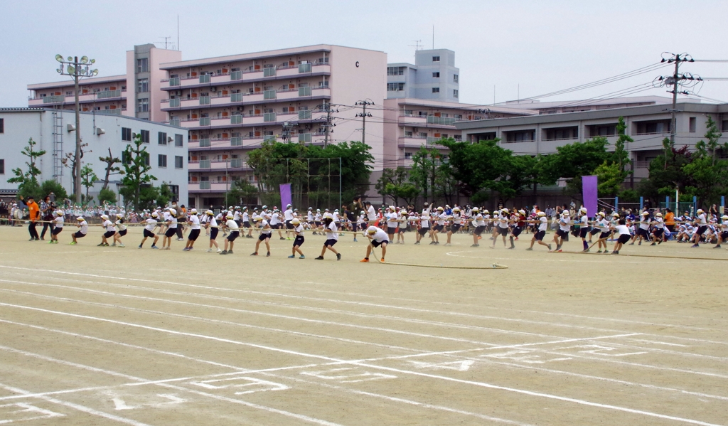 綱引き大会①