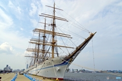 海王丸NIIGATA