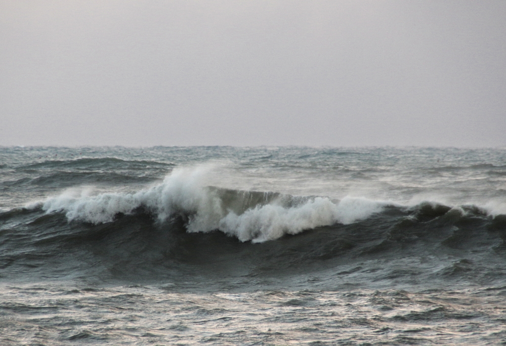 12月の海