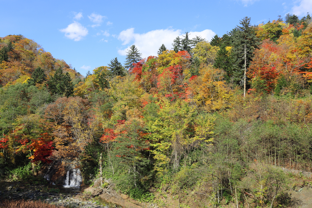 恵庭岳の紅葉