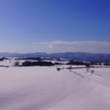 美瑛の雪原