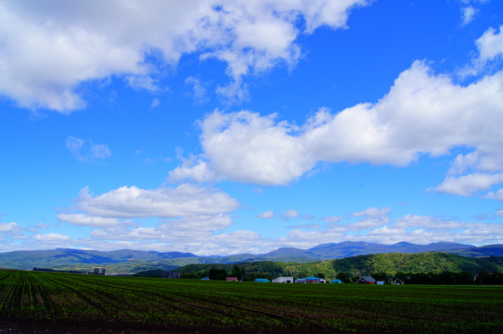 北の大地