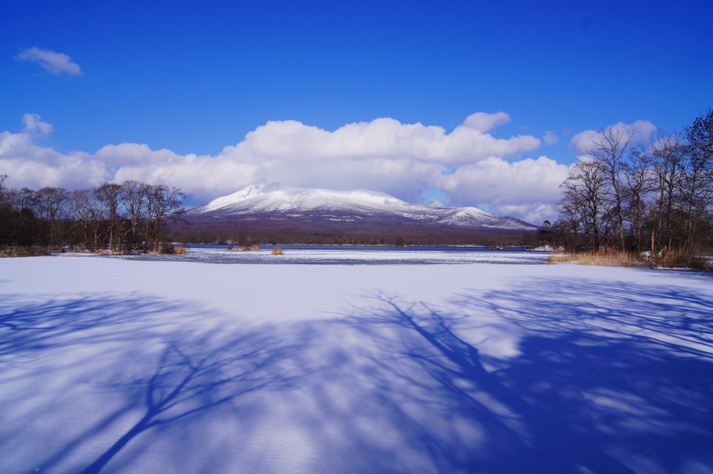 大沼公園から望む駒ケ岳