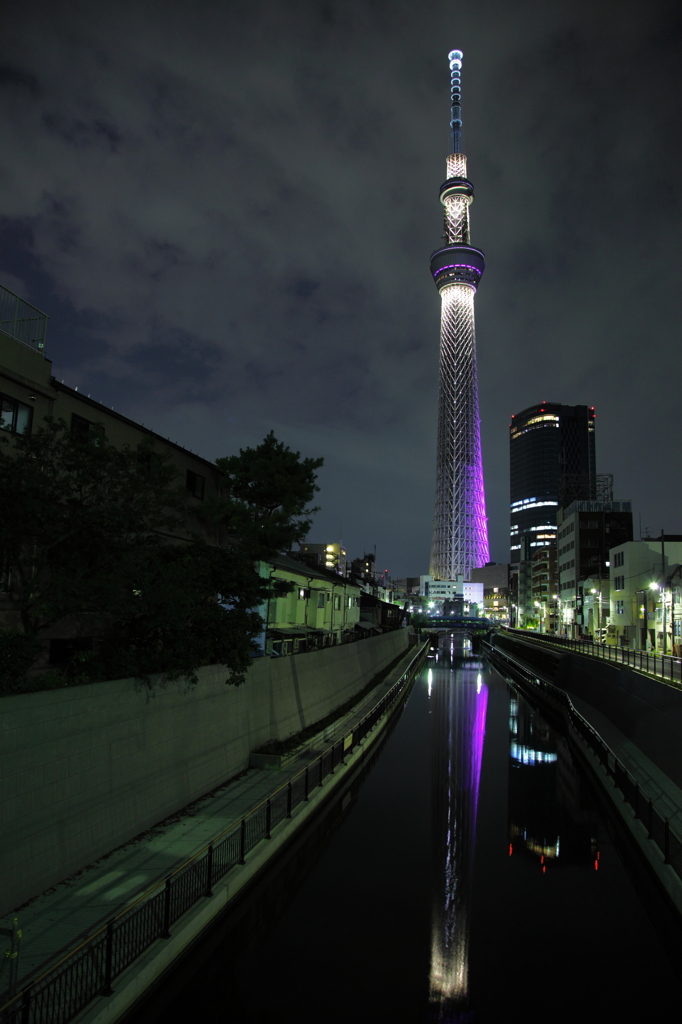 MIYABI