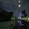 MIYABI