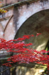 南禅寺　疎水Ⅱ