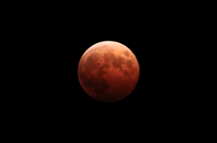 Bloodmoon