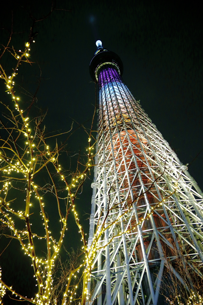 光矢