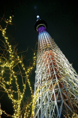 光矢