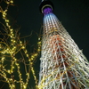 光矢