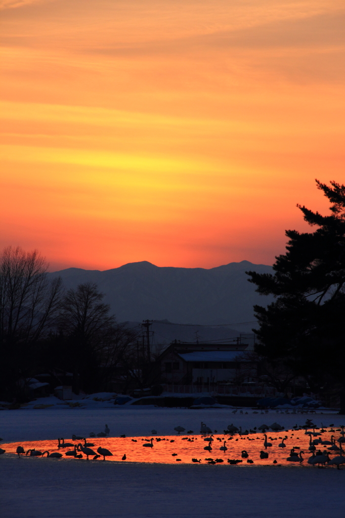 夕焼け