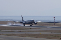 etihad 着陸