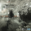 夜桜と船