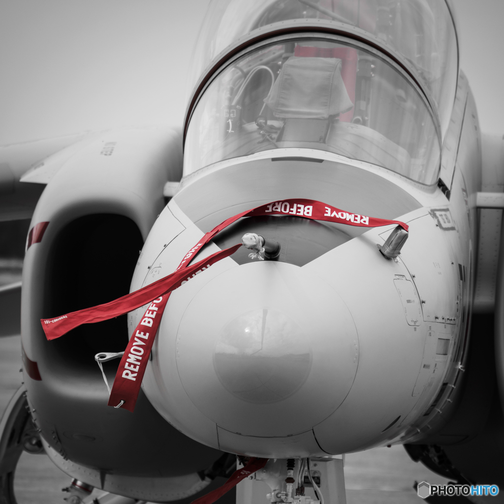 REMOVE BEFORE FLIGHT