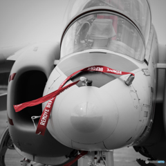 REMOVE BEFORE FLIGHT