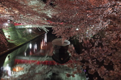 夜桜　大垣住吉灯台