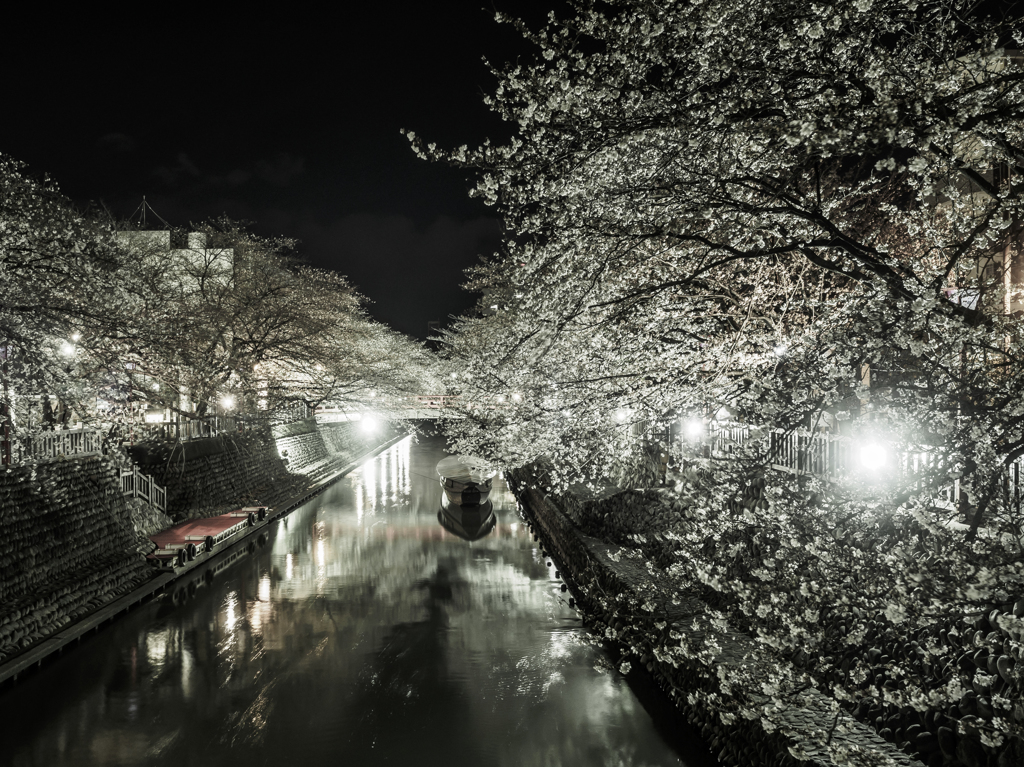 住吉灯台　夜桜