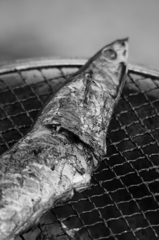 秋刀魚と七輪